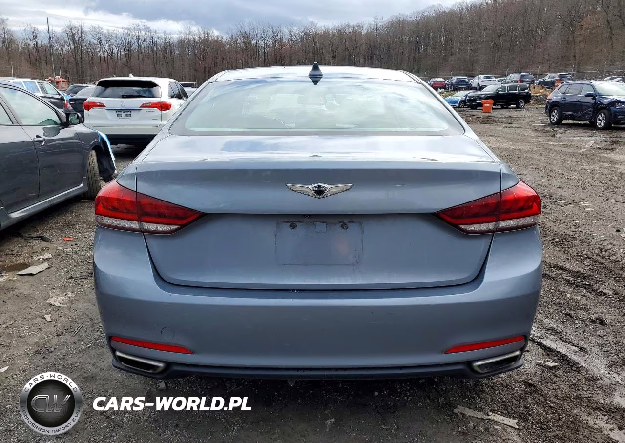 2017 Genesis G80 3.8 VIN:KMHGN4JE1HU204131 - 6