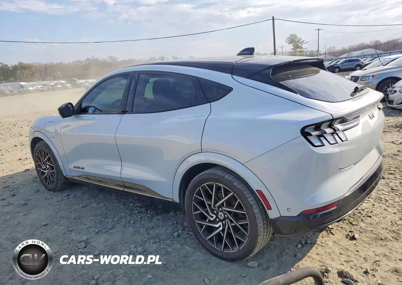 2021 Ford Mustang Mach-E Gt VIN:3FMTK4SXXMME04530 - 2