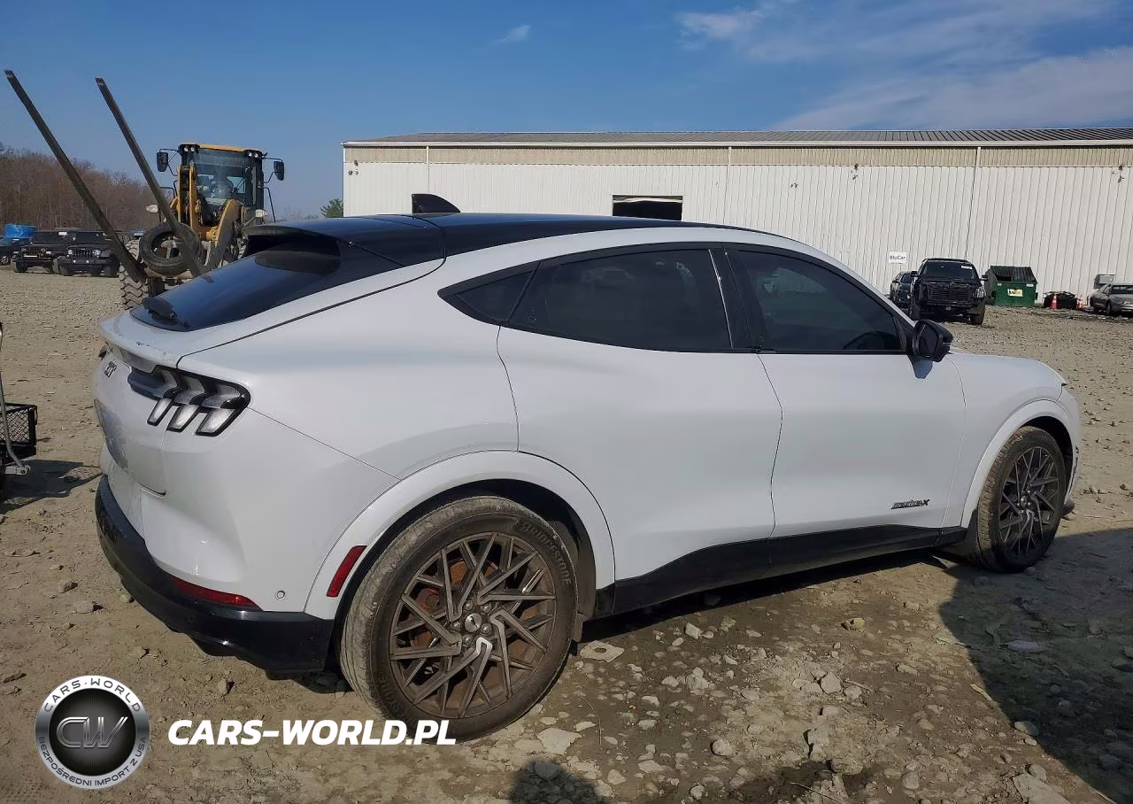 2021 Ford Mustang Mach-E Gt VIN:3FMTK4SXXMME04530 - 3