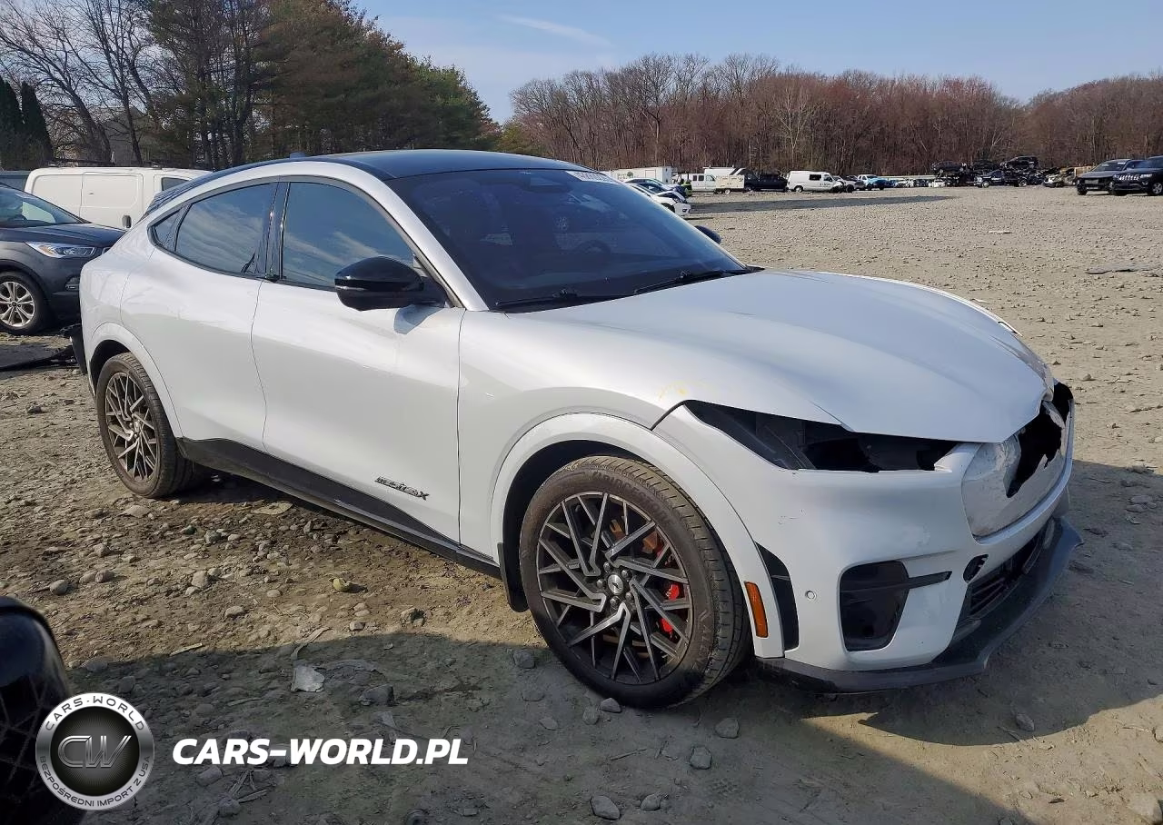 2021 Ford Mustang Mach-E Gt VIN:3FMTK4SXXMME04530 - 4