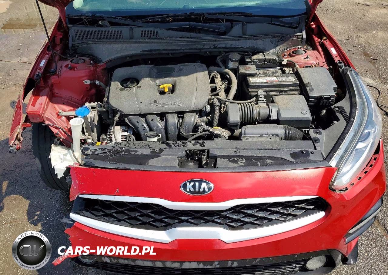 2019 Kia Forte Lxs VIN:3KPF24ADXKE015032 - 11