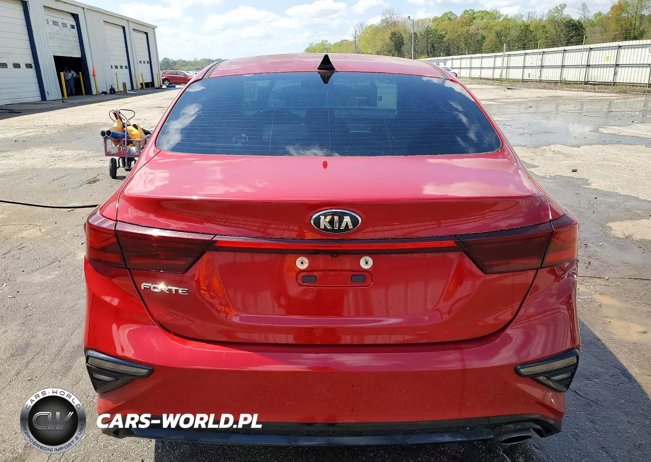2019 Kia Forte Lxs VIN:3KPF24ADXKE015032 - 6