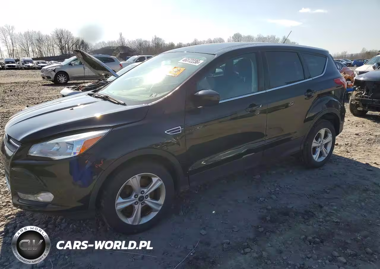 2014 Ford Escape Se