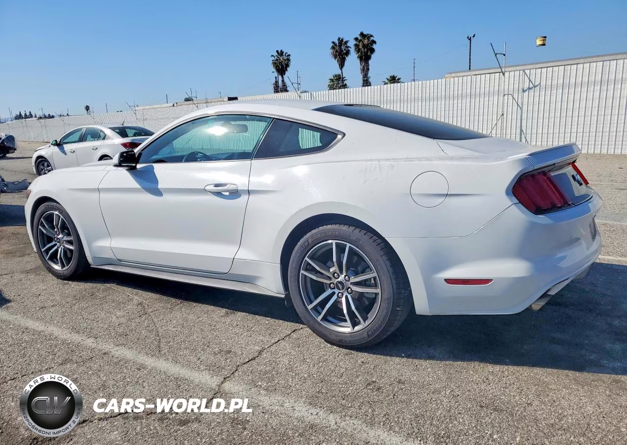 2017 Ford Mustang VIN:1FA6P8TH9H5340466 - 2