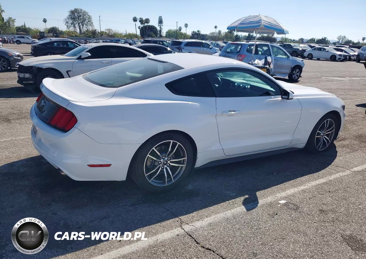 2017 Ford Mustang VIN:1FA6P8TH9H5340466 - 3