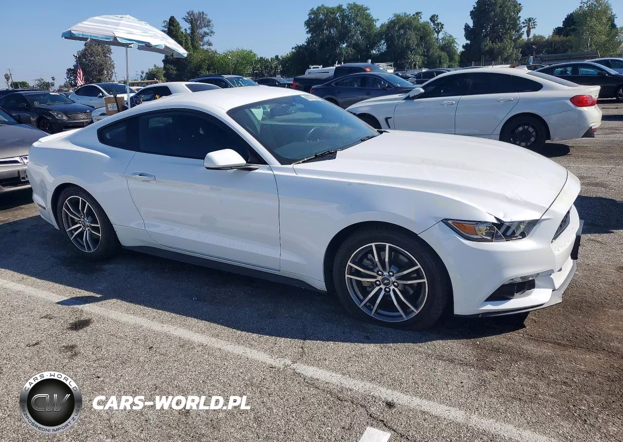 2017 Ford Mustang VIN:1FA6P8TH9H5340466 - 4