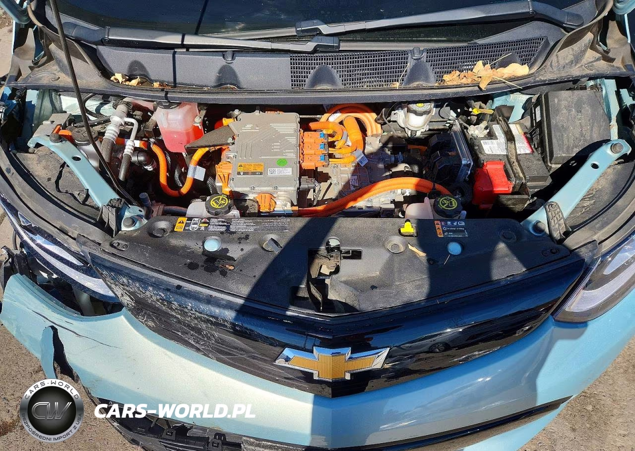2019 Chevrolet Bolt Ev Premier VIN:1G1FZ6S08K4139314 - 11