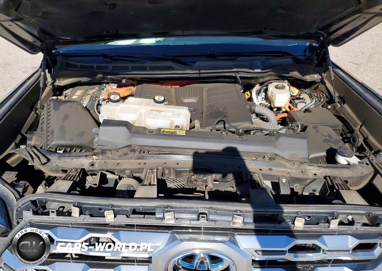 2023 Toyota Tundra 1794 Edition Hv VIN:5TFMC5DBXPX028004 - 11