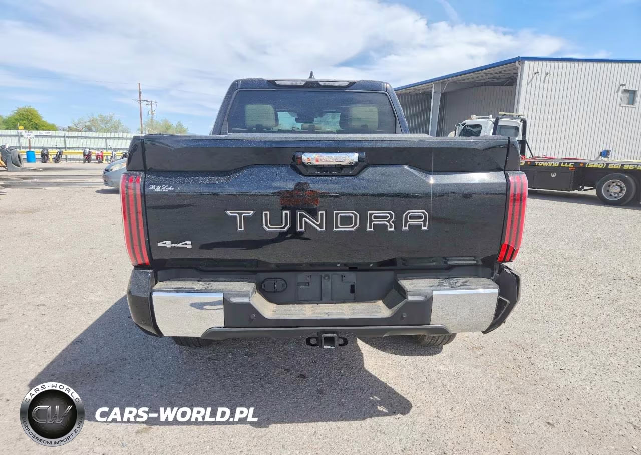 2023 Toyota Tundra 1794 Edition Hv VIN:5TFMC5DBXPX028004 - 6