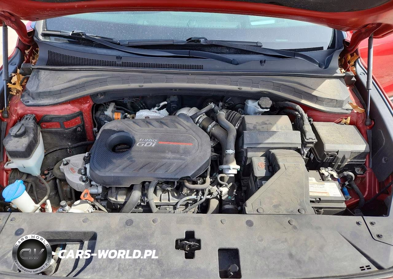 2019 Hyundai Santa Fe Ultimate 2.0T VIN:5NMS53AA2KH022488 - 12