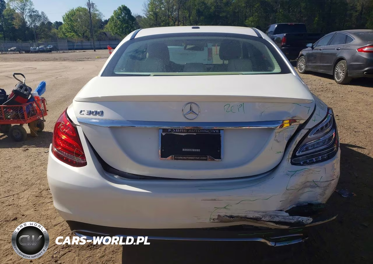 2016 Mercedes-Benz C 300 VIN:55SWF4JB8GU120834 - 6