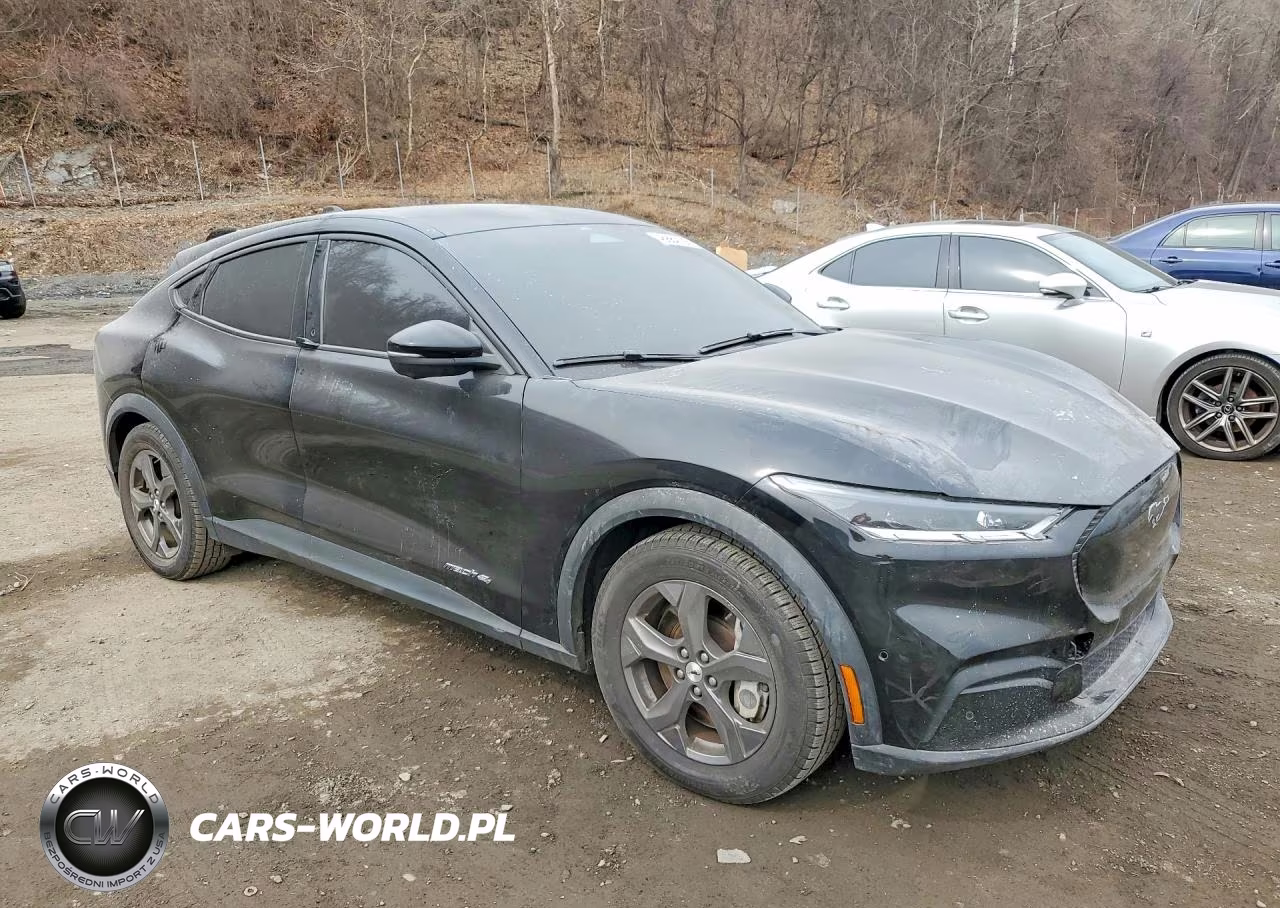 2021 Ford Mustang Mach-E Select VIN:3FMTK1SS8MMA19664 - 4