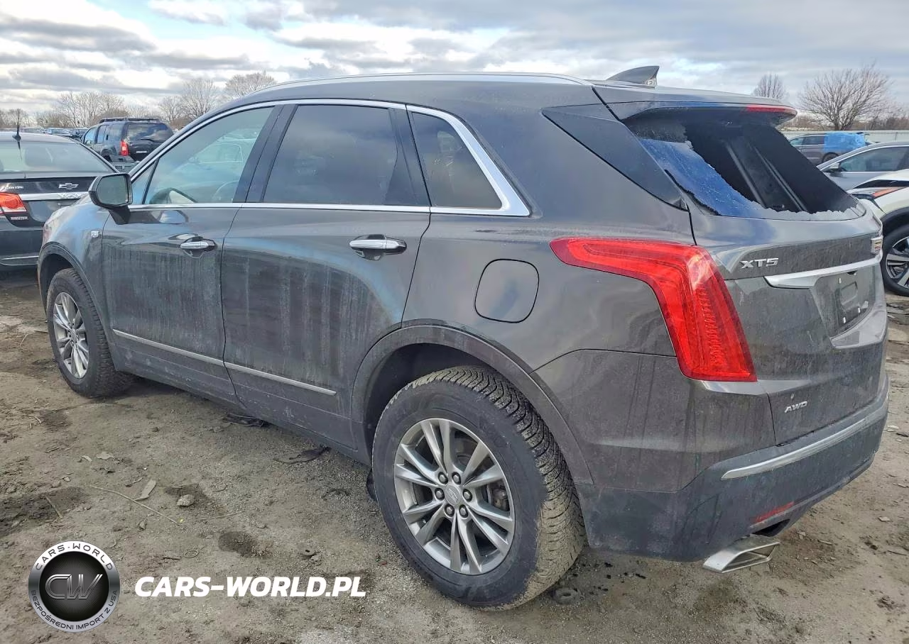 2019 Cadillac Xt5 VIN:1GYKNBRS9KZ178993 - 2