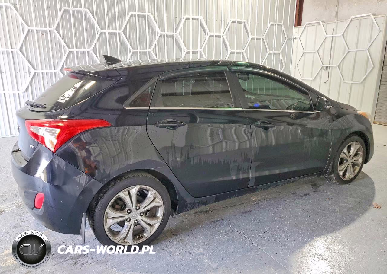 2014 Hyundai Elantra Gt Base VIN:KMHD35LH8EU203818 - 3