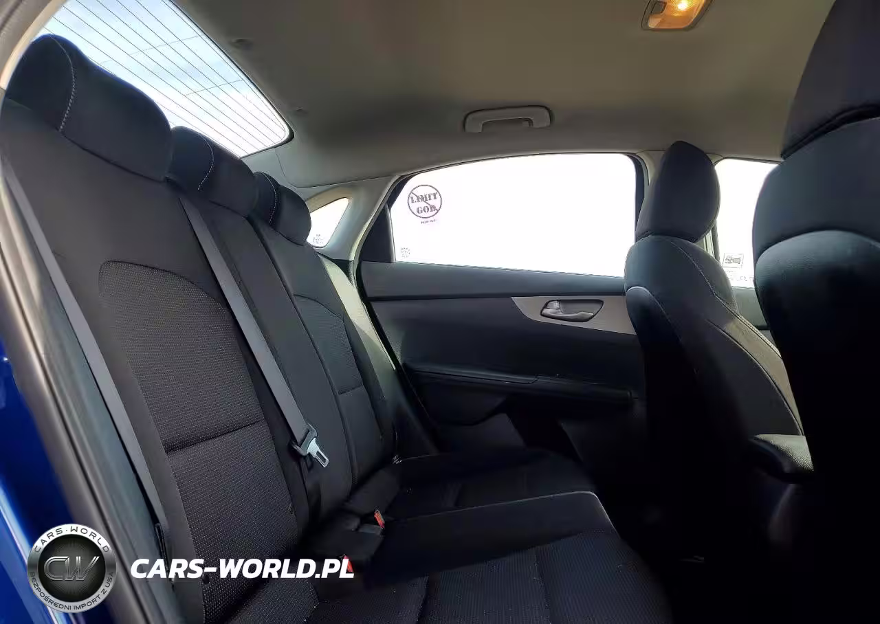 2019 Kia Forte Lxs VIN:3KPF24ADXKE008839 - 10