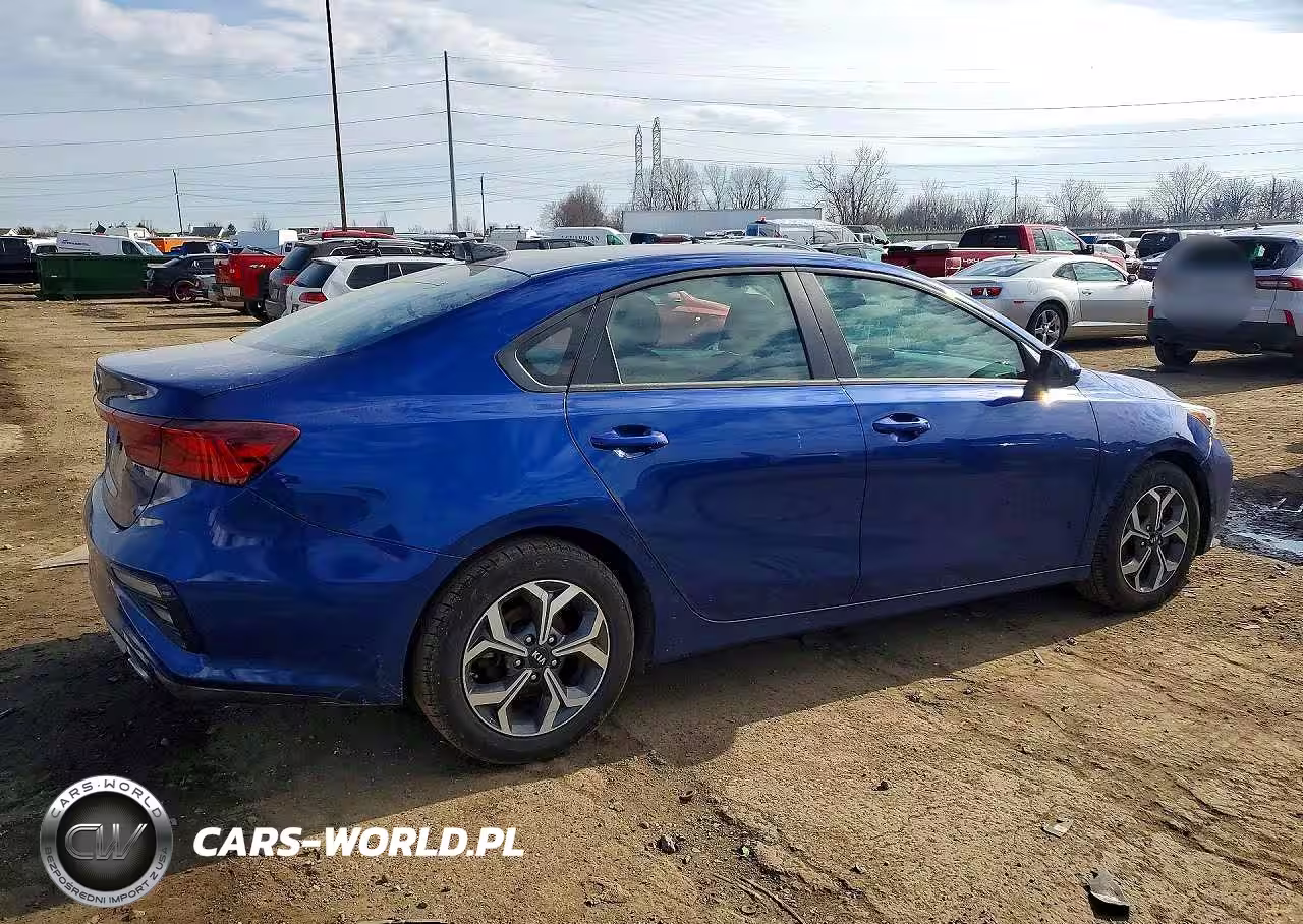 2019 Kia Forte Lxs VIN:3KPF24ADXKE008839 - 3