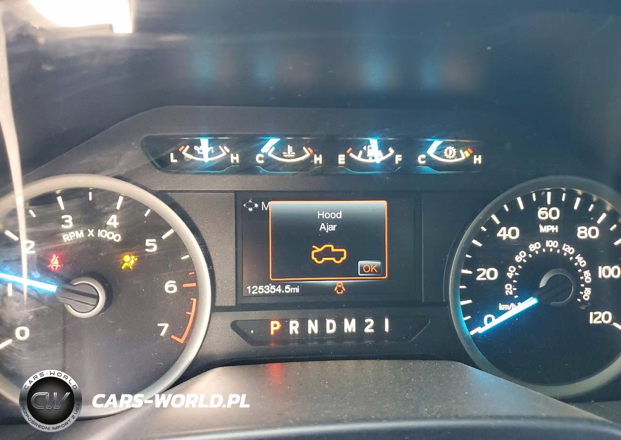 2016 Ford F150 Supercrew VIN:1FTEW1EP4GFB97374 - 9