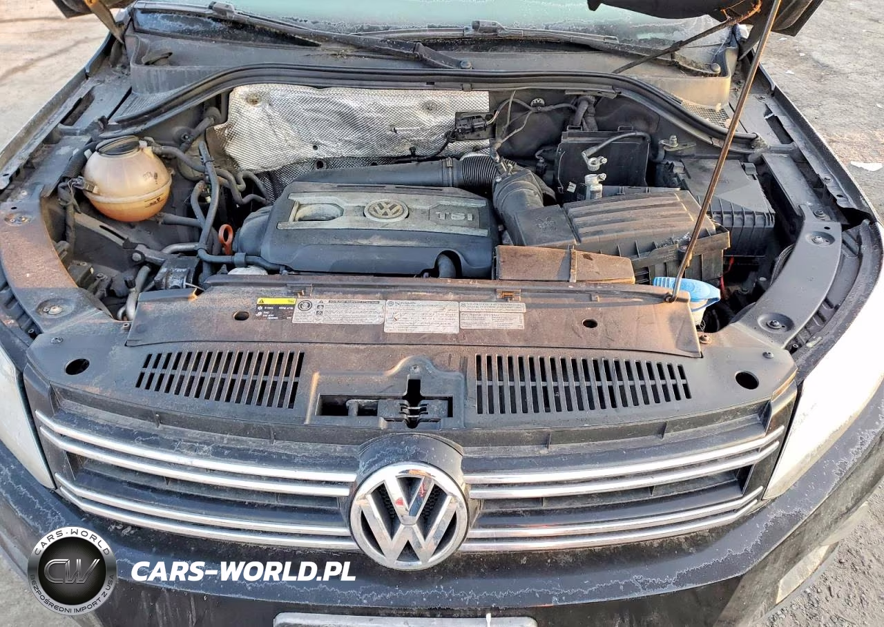 2013 Volkswagen Tiguan S VIN:WVGBV3AX9DW083952 - 12