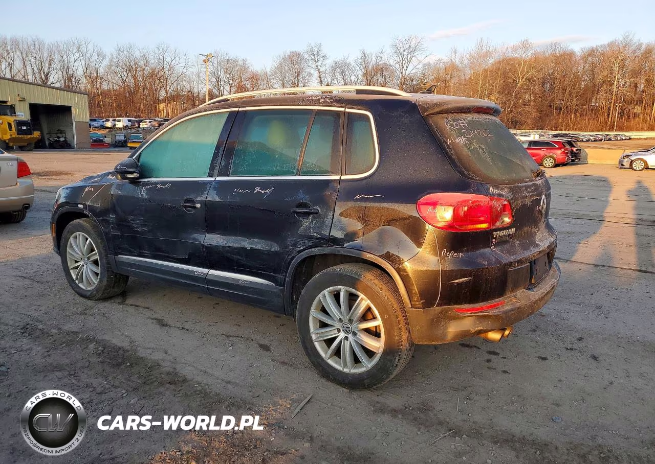 2013 Volkswagen Tiguan S VIN:WVGBV3AX9DW083952 - 2