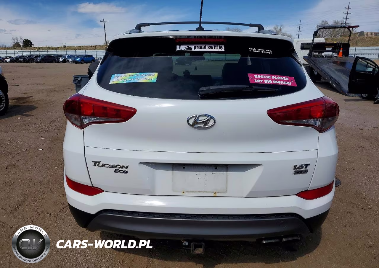 2016 Hyundai Tucson Eco VIN:KM8J3CA2XGU160950 - 6