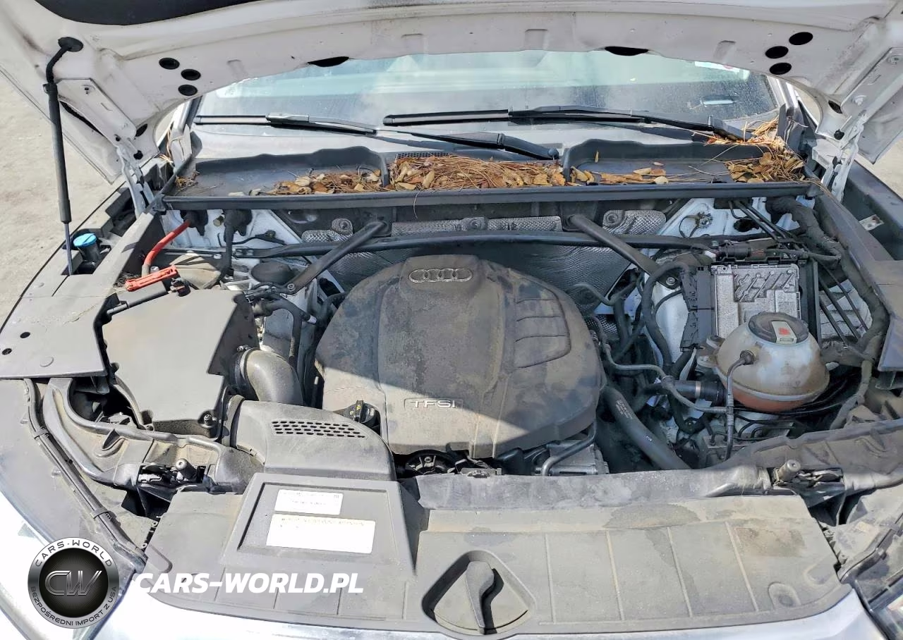 2019 Audi Q5 Premium Plus VIN:WA1BNAFY1K2041428 - 12