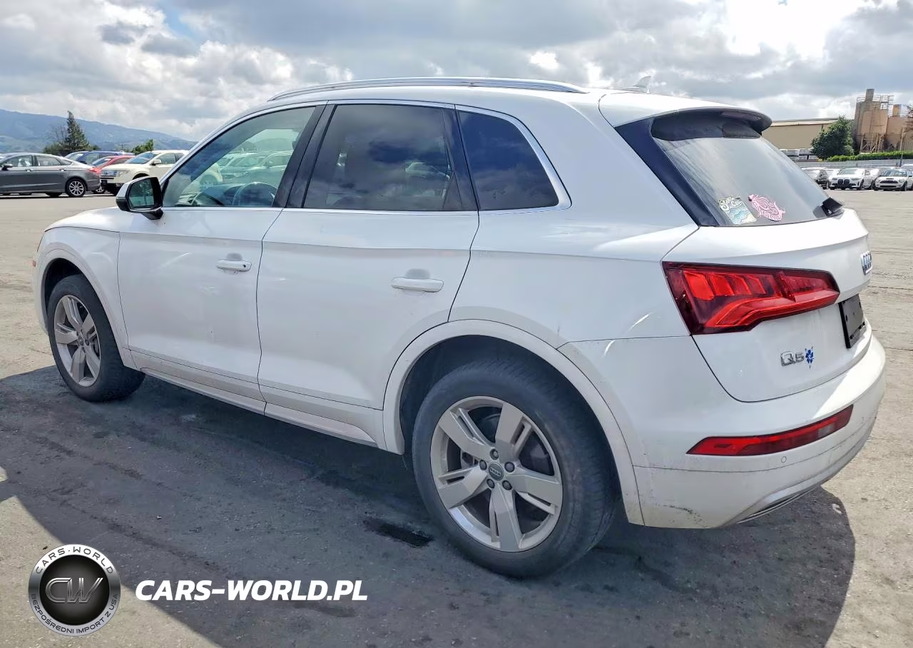 2019 Audi Q5 Premium Plus VIN:WA1BNAFY1K2041428 - 2