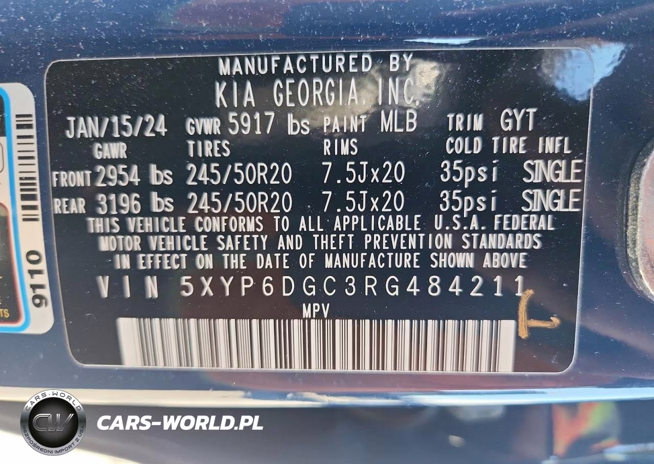 2024 Kia Telluride S VIN:5XYP6DGC3RG484211 - 13