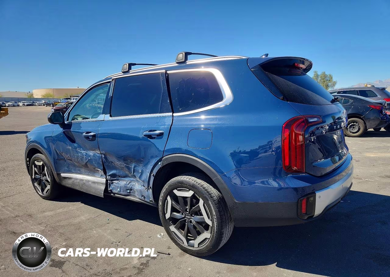 2024 Kia Telluride S VIN:5XYP6DGC3RG484211 - 2