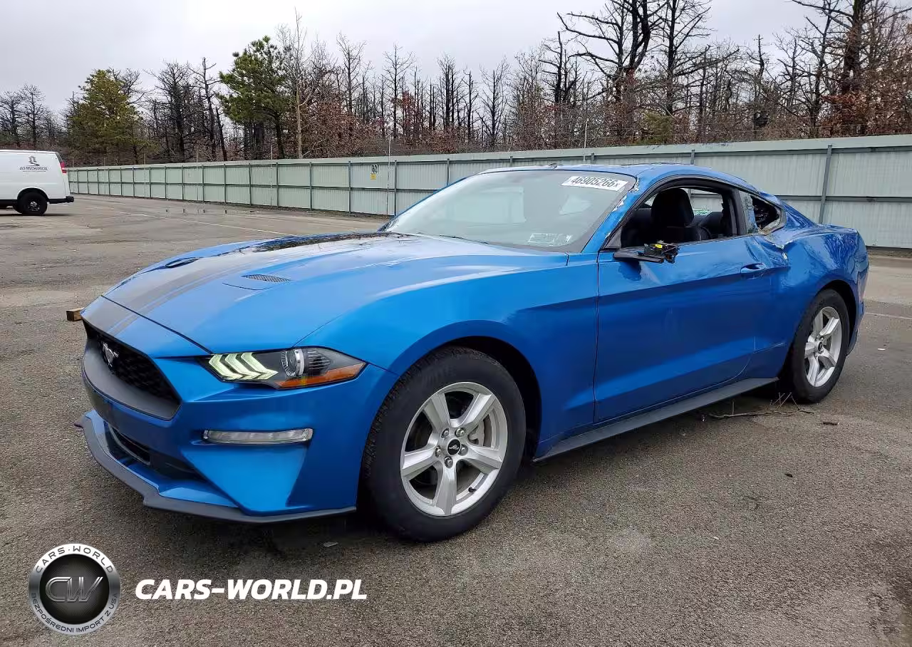 2019 Ford Mustang