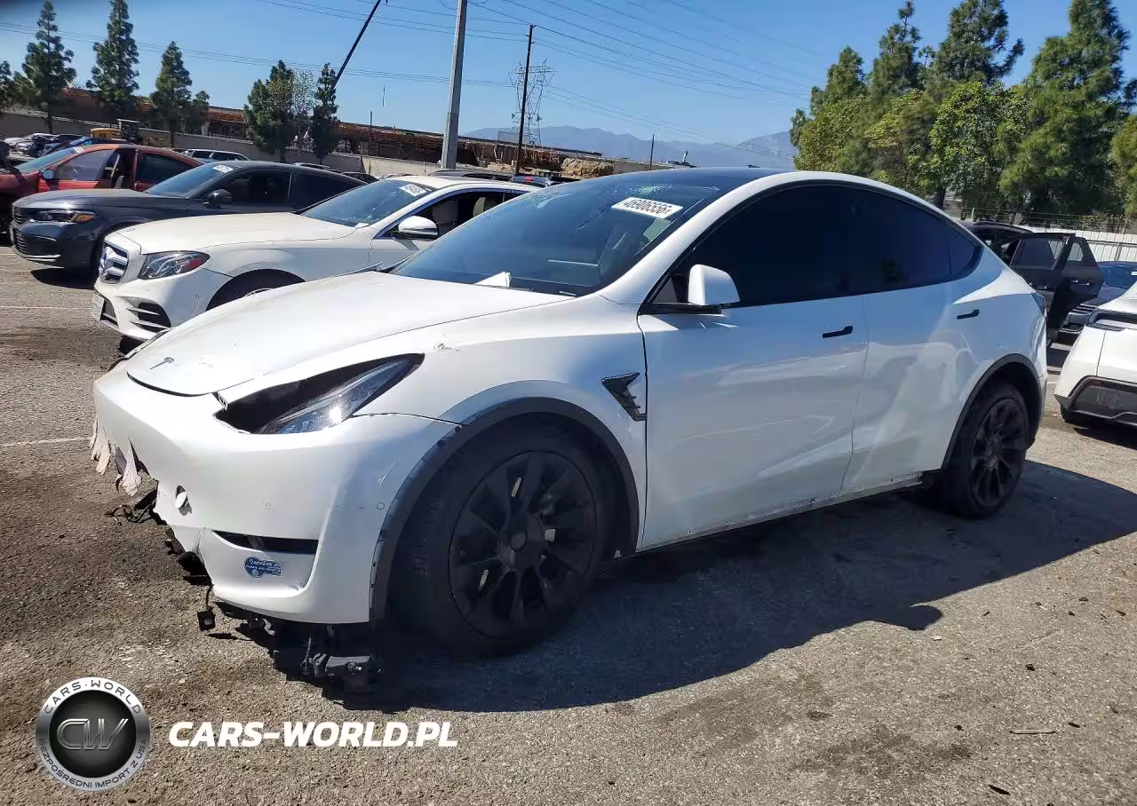 2020 Tesla Model Y