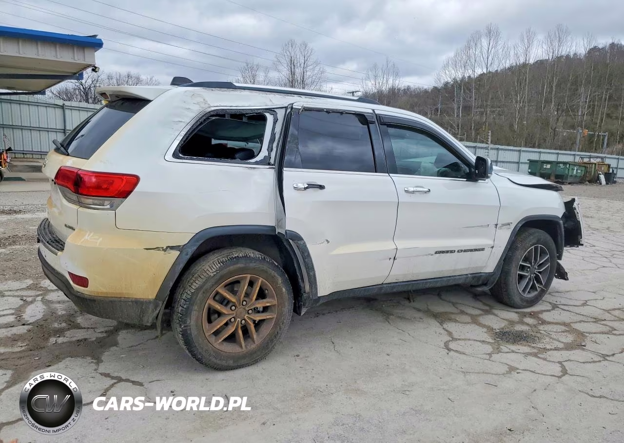 2019 Jeep Grand Cherokee Limited VIN:1C4RJFBG7KC713593 - 3