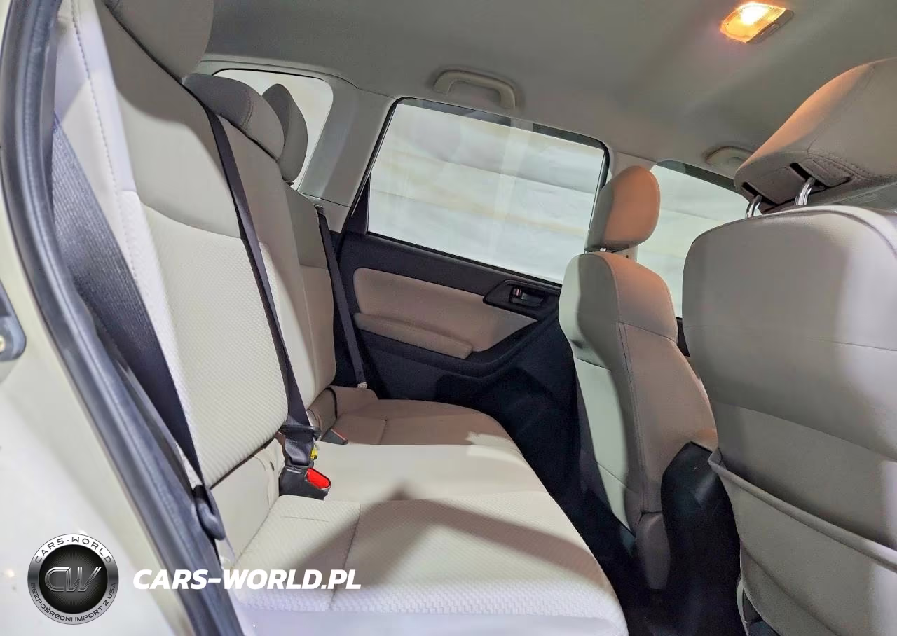 2016 Subaru Forester 2.5I VIN:JF2SJABC3GH427575 - 10