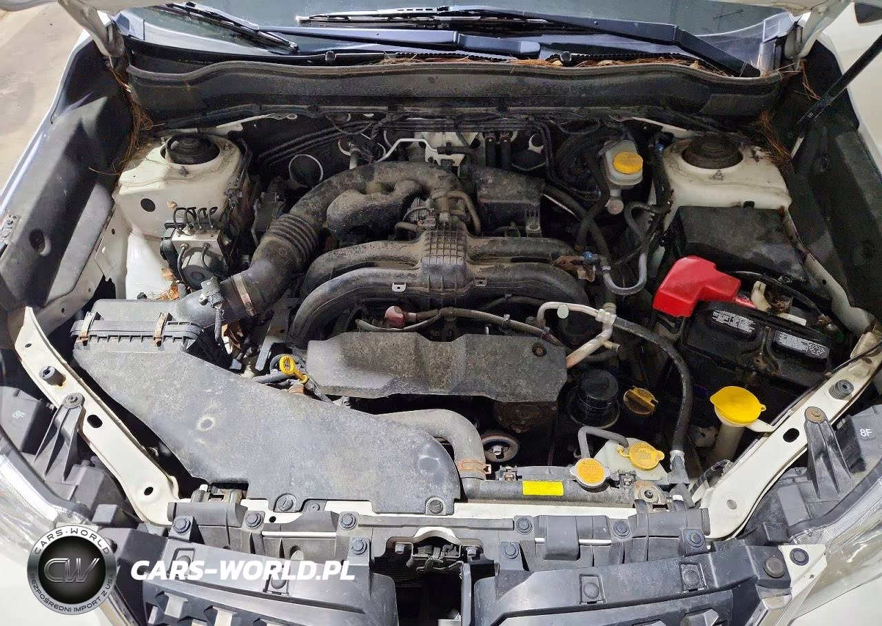 2016 Subaru Forester 2.5I VIN:JF2SJABC3GH427575 - 11
