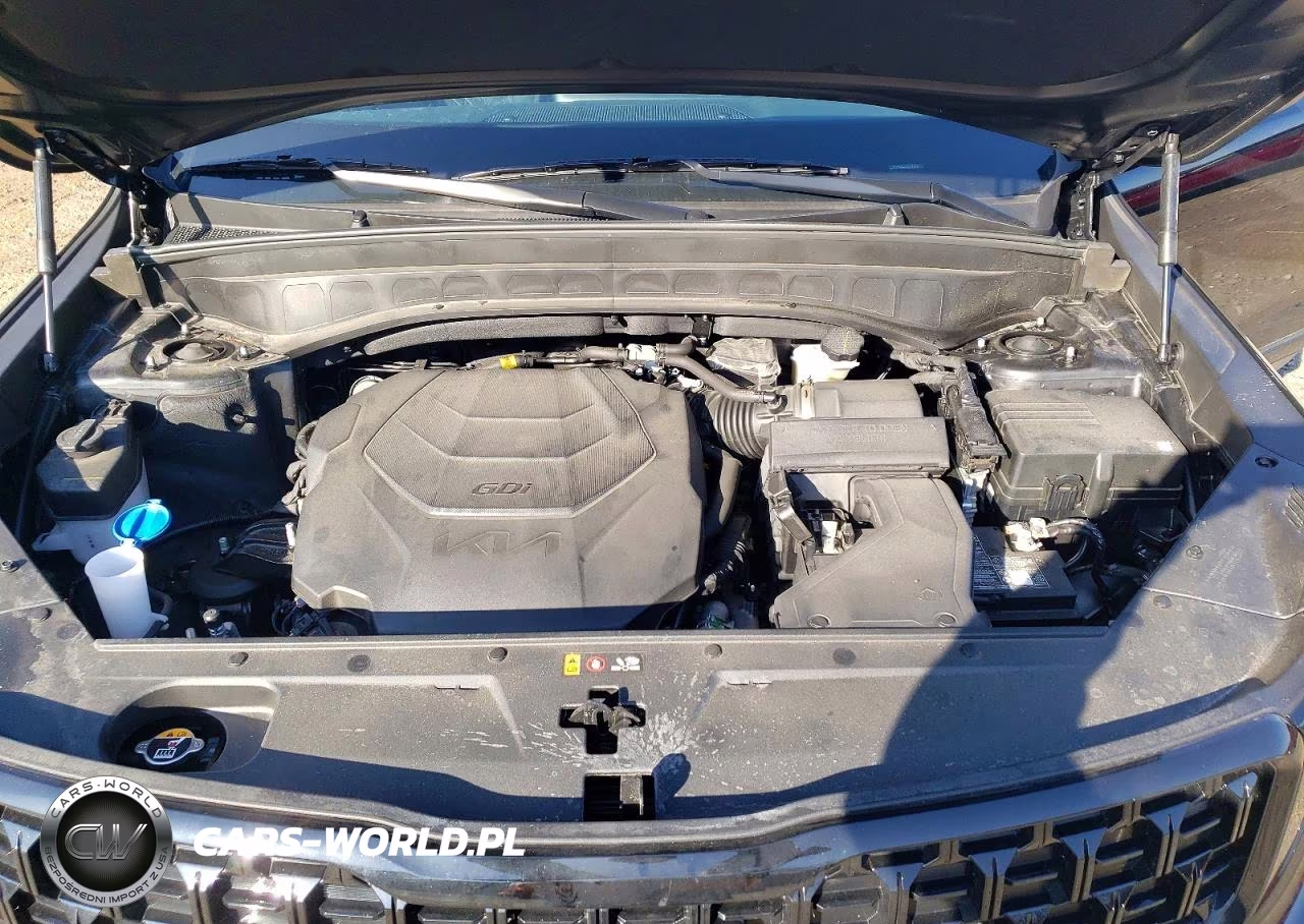 2025 Kia Telluride Ex X-Line VIN:5XYP3DGC5SG576855 - 12