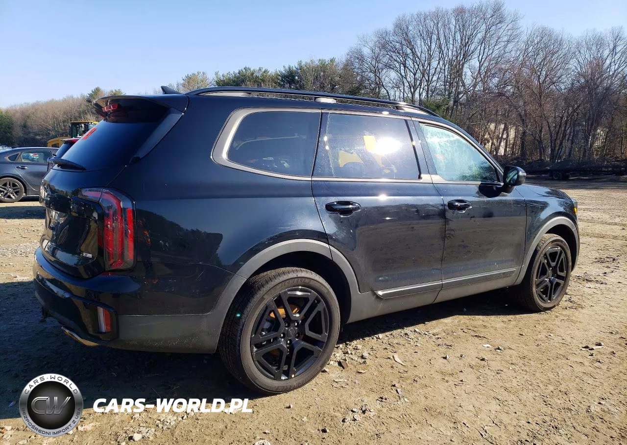 2025 Kia Telluride Ex X-Line VIN:5XYP3DGC5SG576855 - 3