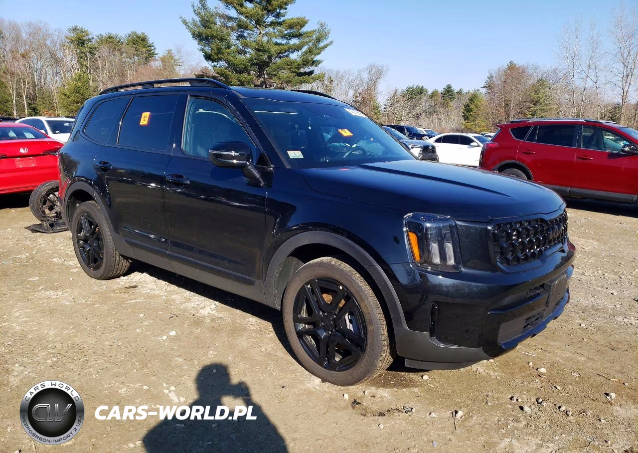2025 Kia Telluride Ex X-Line VIN:5XYP3DGC5SG576855 - 4