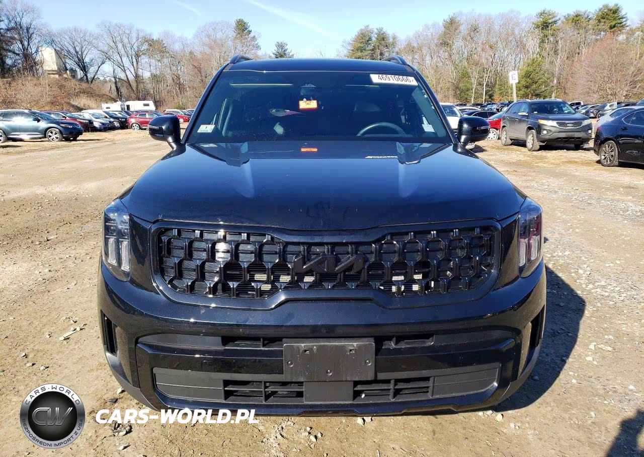 2025 Kia Telluride Ex X-Line VIN:5XYP3DGC5SG576855 - 5