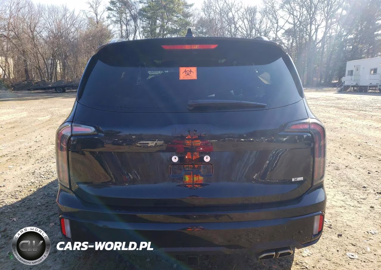 2025 Kia Telluride Ex X-Line VIN:5XYP3DGC5SG576855 - 6
