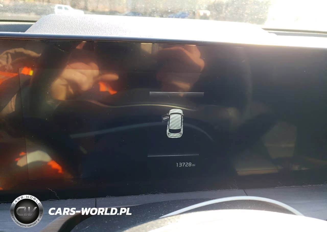 2025 Kia Telluride Ex X-Line VIN:5XYP3DGC5SG576855 - 9