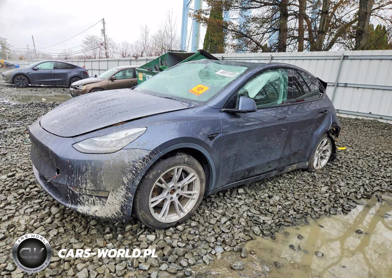2020 Tesla Model Y