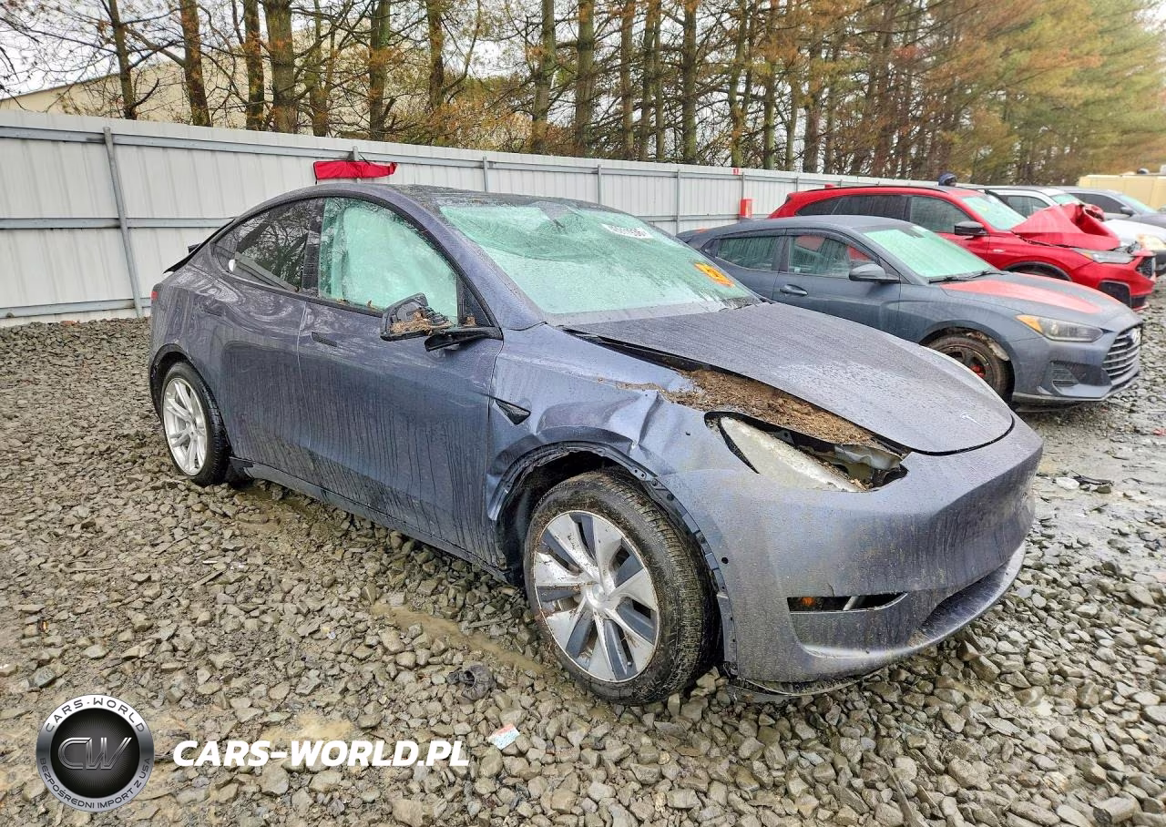 2020 Tesla Model Y VIN:5YJYGDEE3LF006844 - 4