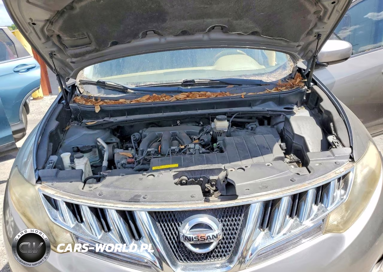 2009 Nissan Murano S VIN:JN8AZ18U99W024335 - 12