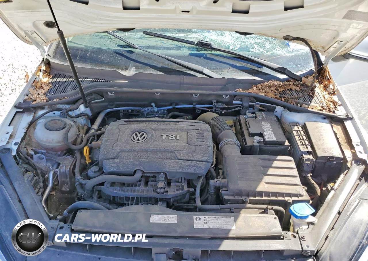 2018 Volkswagen Golf S VIN:3VWB17AU1JM262167 - 11