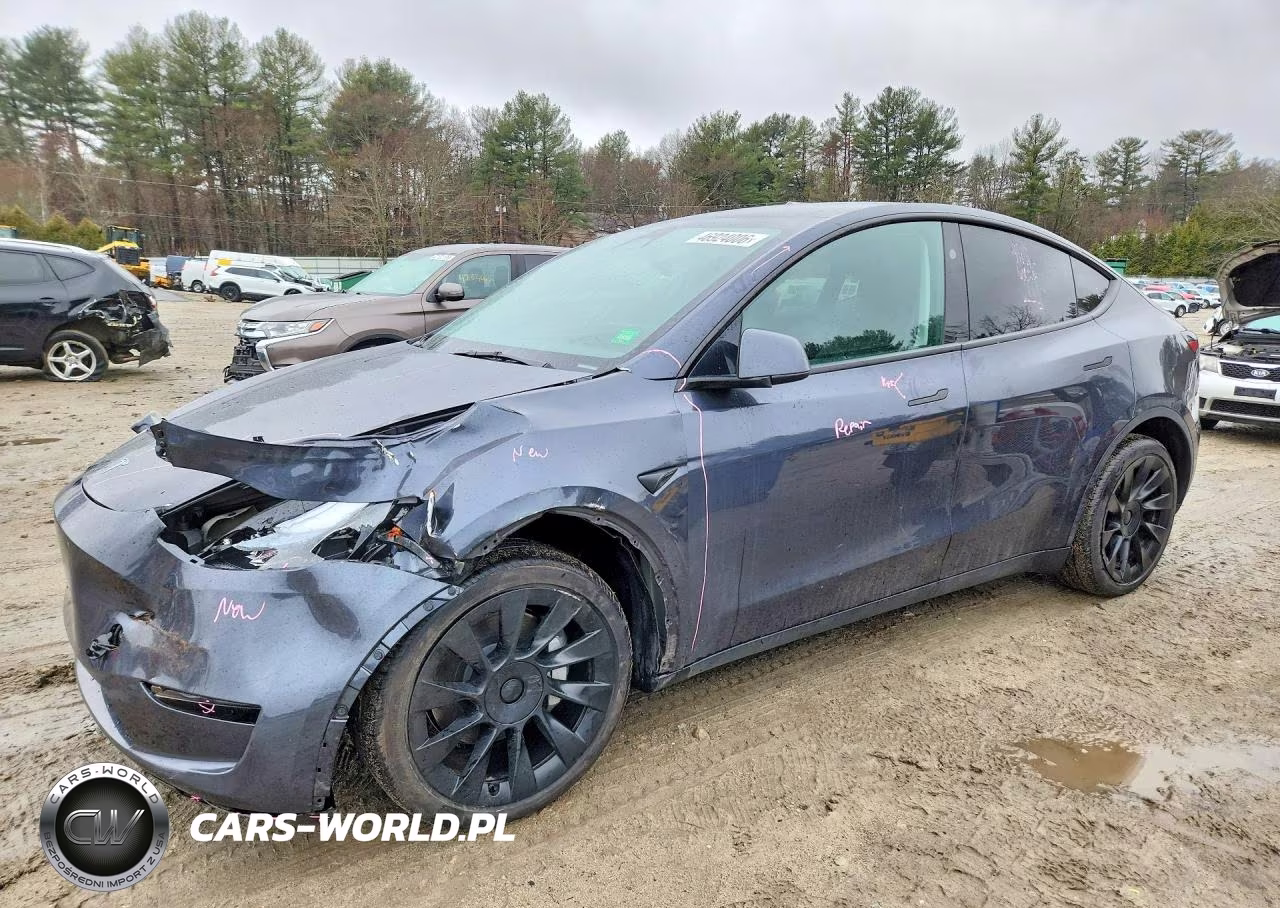 2025 Tesla Model Y