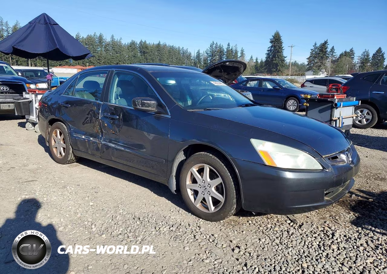 2004 Honda Accord Ex VIN:1HGCM66514A025126 - 4