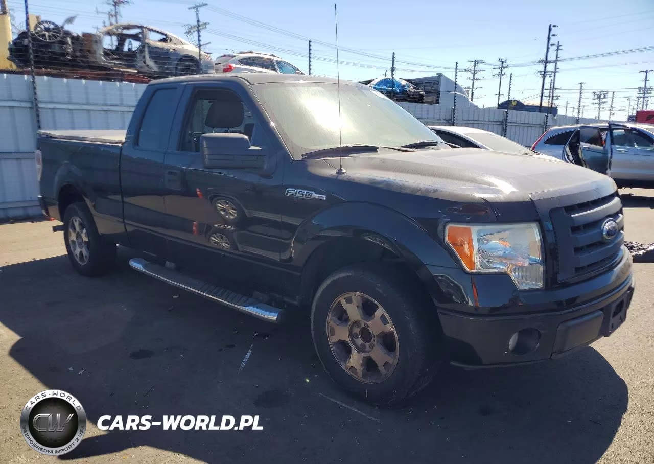 2009 Ford F150 Super Cab VIN:1FTRX12W59FA40739 - 4