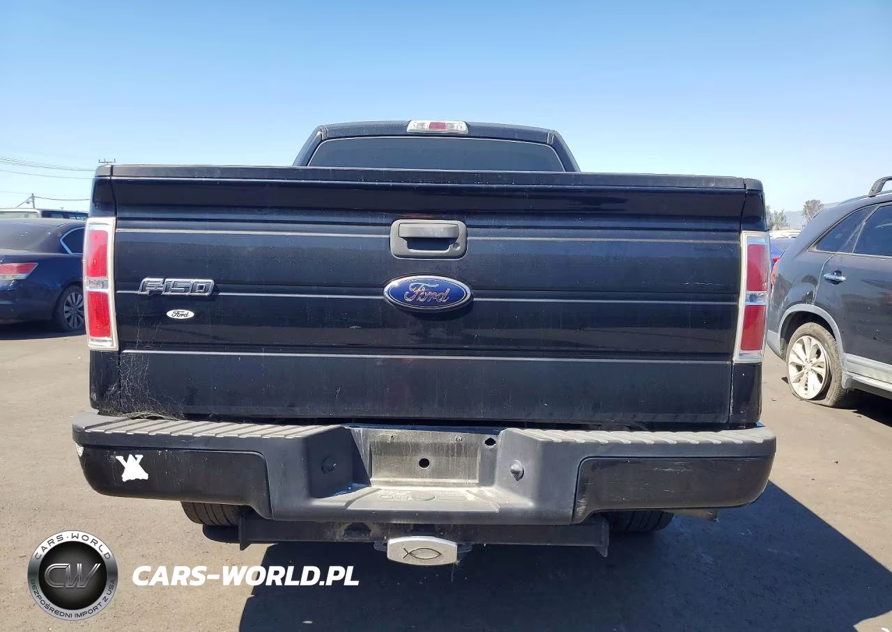 2009 Ford F150 Super Cab VIN:1FTRX12W59FA40739 - 6