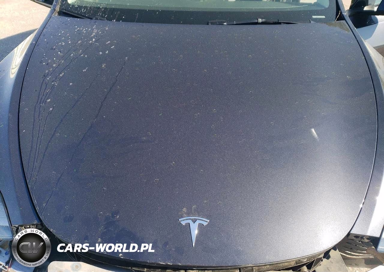 2024 Tesla Model Y VIN:7SAYGDEE0RA265428 - 11