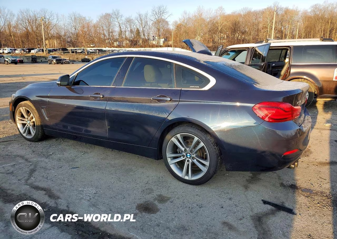 2019 BMW 430Xi Gran Coupe VIN:WBA4J3C50KBL10516 - 2