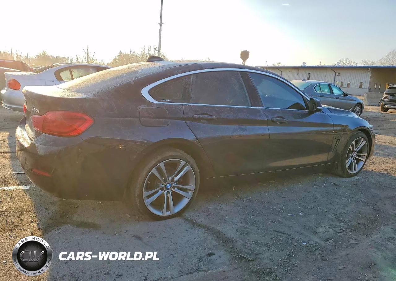 2019 BMW 430Xi Gran Coupe VIN:WBA4J3C50KBL10516 - 3